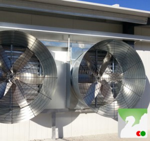 ventiladores para instalaciones avícolas
