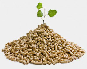 biomasa pellets
